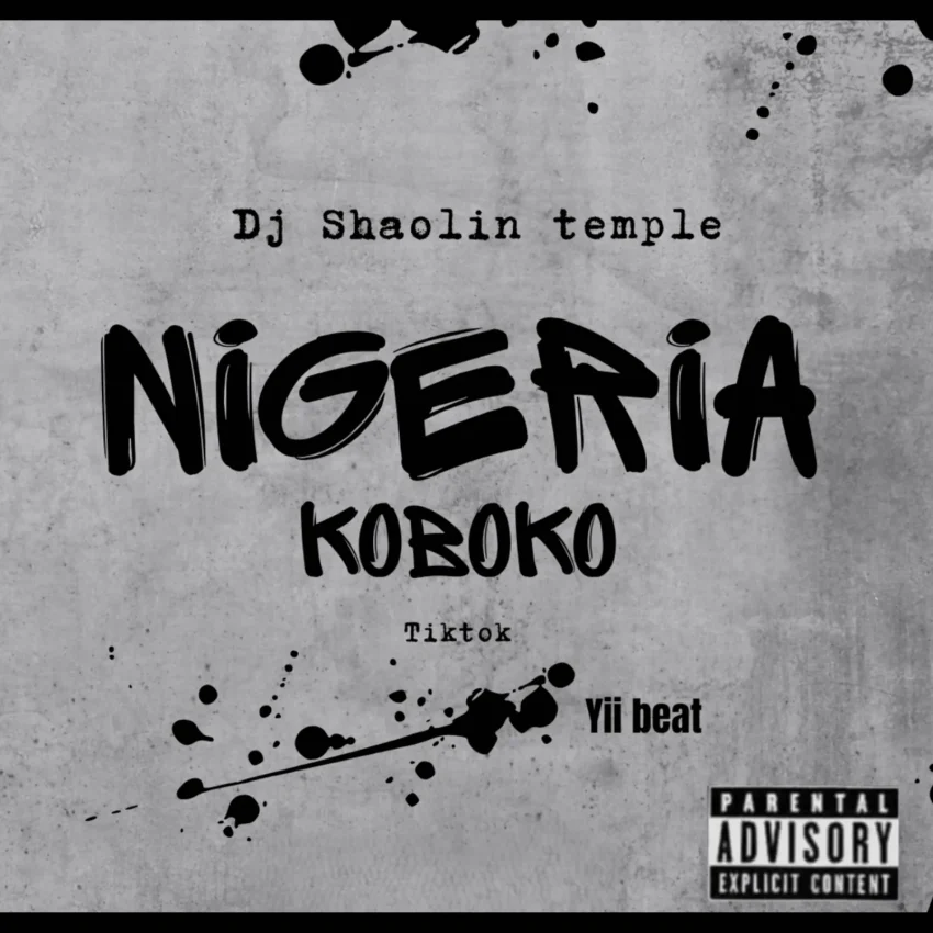 Dj Shaolin - Nigeria Koboko Tiktok Yii Beat