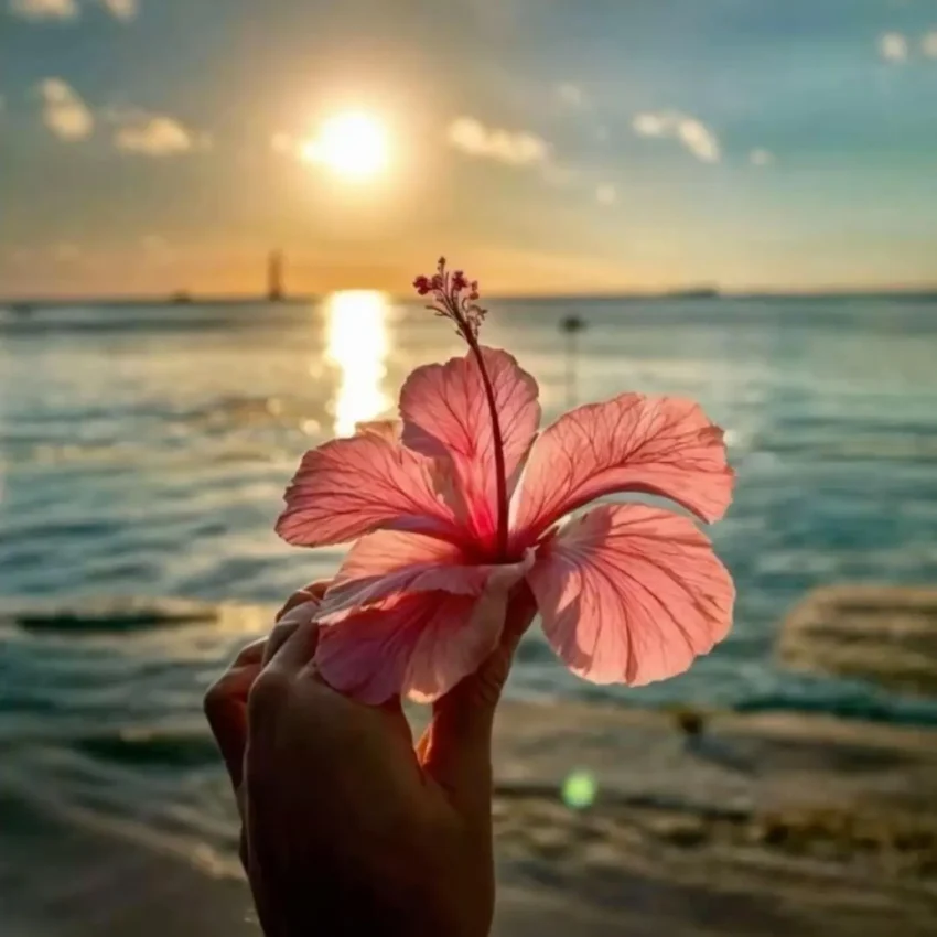 DJ Doublekay Ft. Fela 2 - Odunade