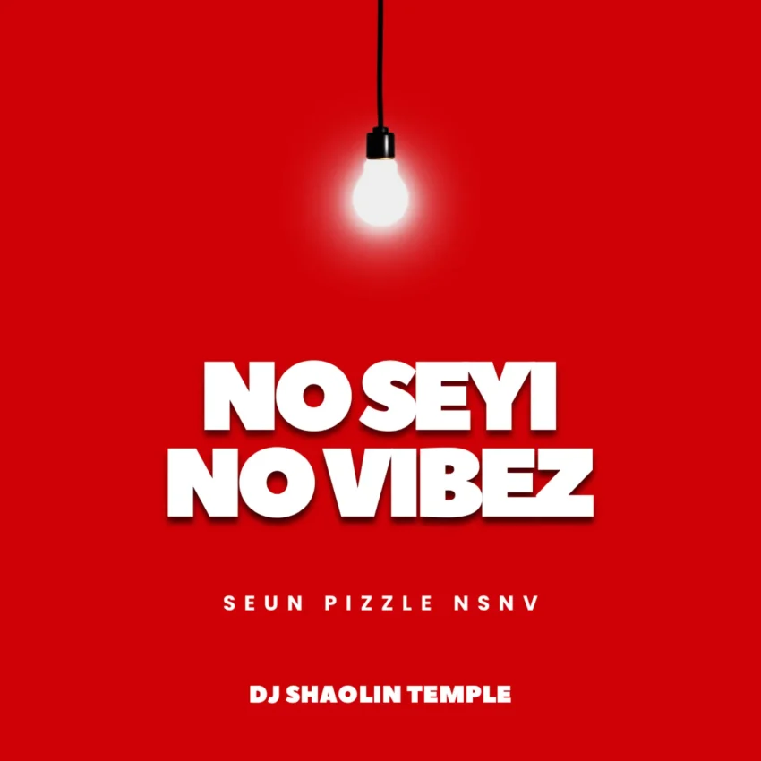 Dj Shaolin - No Seyi No vibez