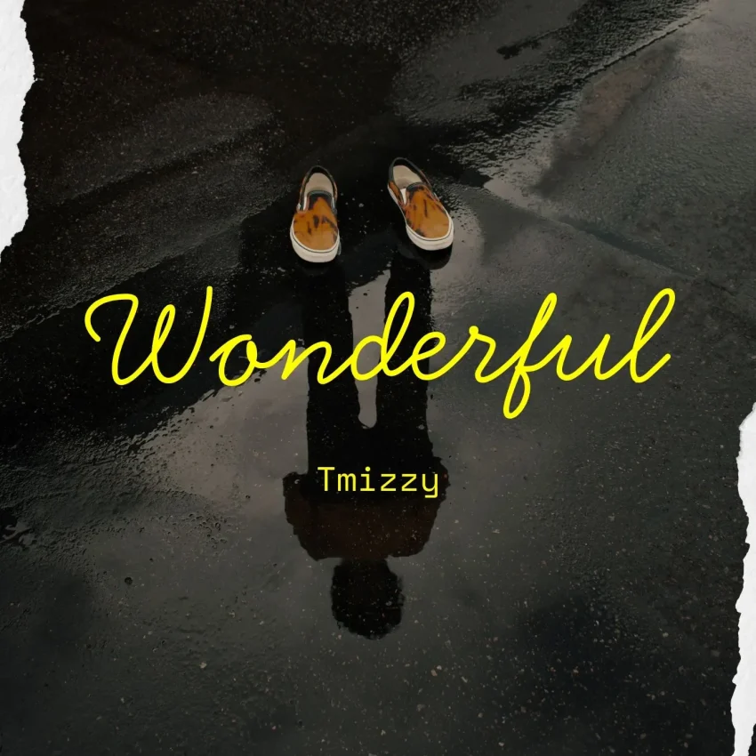 Tmizzy Mrhorrizen & Small Doctor - Wonderful
