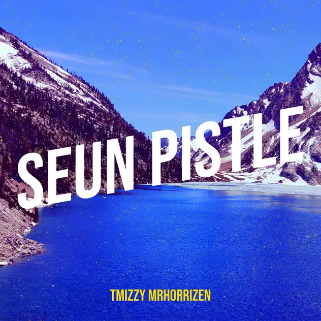 T Mizzy - Seun Pizzle