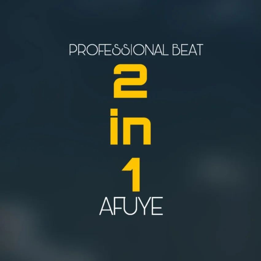 Professional Beat - Afuye 2 In 1
